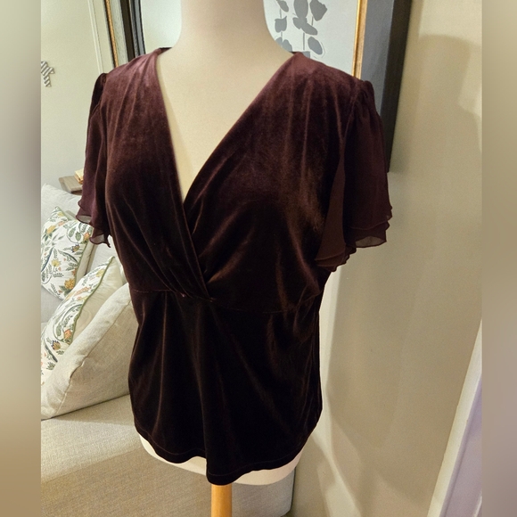 Ralph Lauren Tops - Ralph LaurenElegant Velvet V-Neck Top - Burgundy